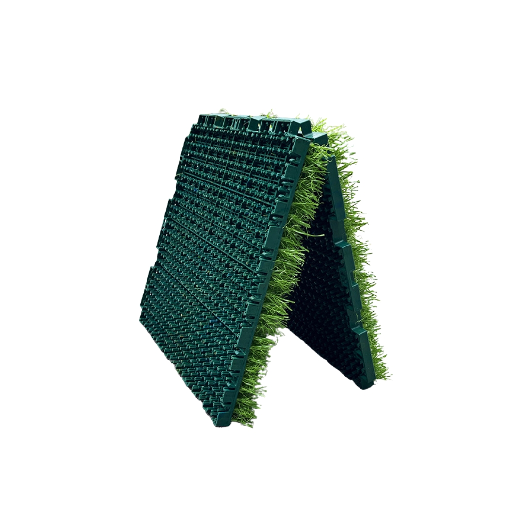 プラティグラス TC-P25150